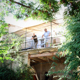 View of the terrace from the garden